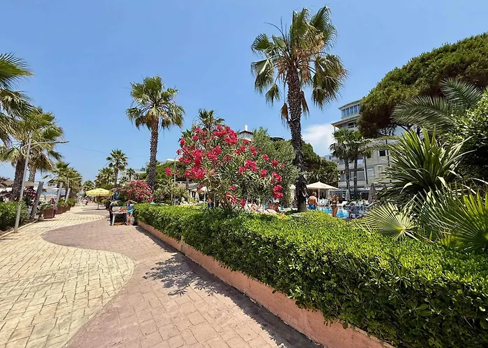 Roof Breeze דירה גולם