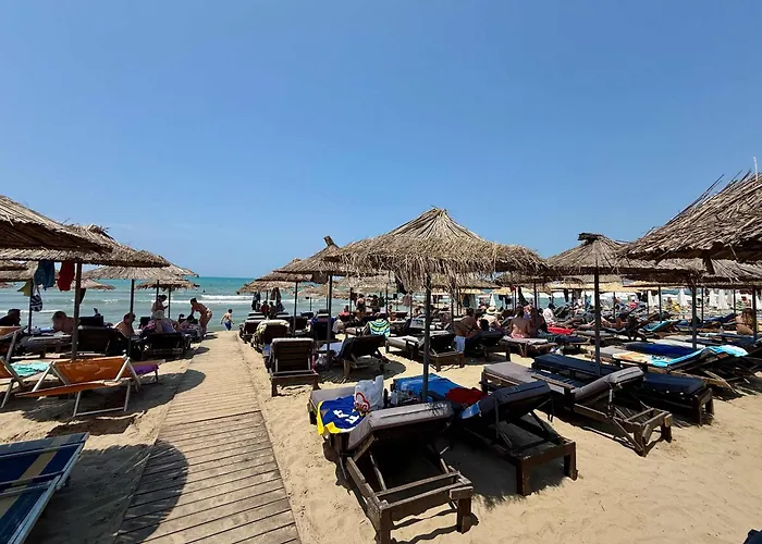 Roof Breeze * גולם